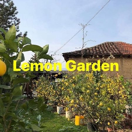 Hostel Lemon Garden Naselba Dracevo Exteriér fotografie