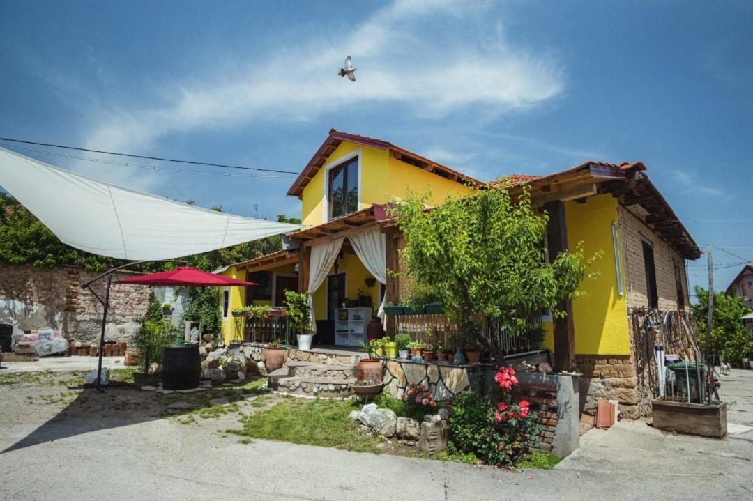 Hostel Lemon Garden Naselba Dracevo Exteriér fotografie