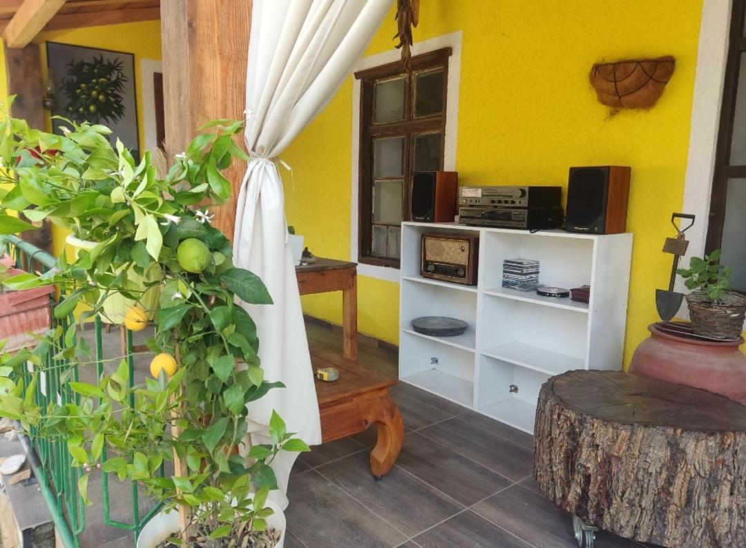 Hostel Lemon Garden Naselba Dracevo Exteriér fotografie